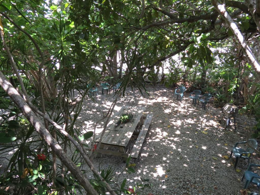 Motel Ed & Ellen'S Lodgings Key Largo Pokoj fotografie