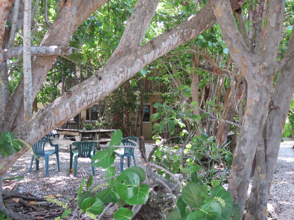 Motel Ed & Ellen'S Lodgings Key Largo Exteriér fotografie
