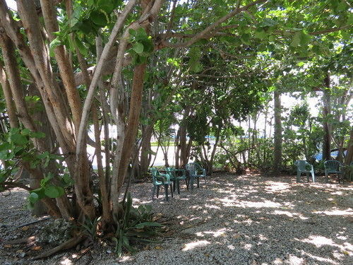 Motel Ed & Ellen'S Lodgings Key Largo Exteriér fotografie