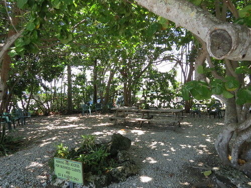Motel Ed & Ellen'S Lodgings Key Largo Exteriér fotografie