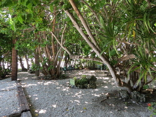 Motel Ed & Ellen'S Lodgings Key Largo Exteriér fotografie