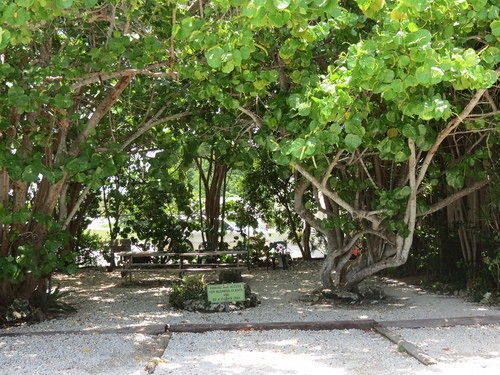 Motel Ed & Ellen'S Lodgings Key Largo Exteriér fotografie